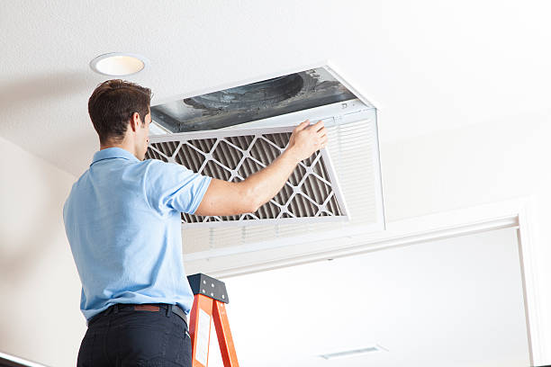 Best Ductless HVAC repair  in Daisetta, TX