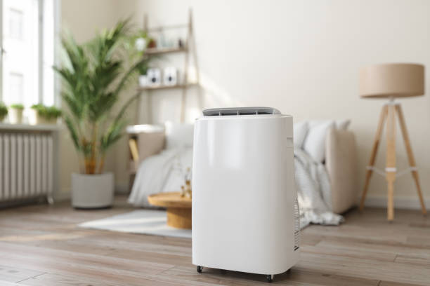 Best Local HVAC companies  in Daisetta, TX